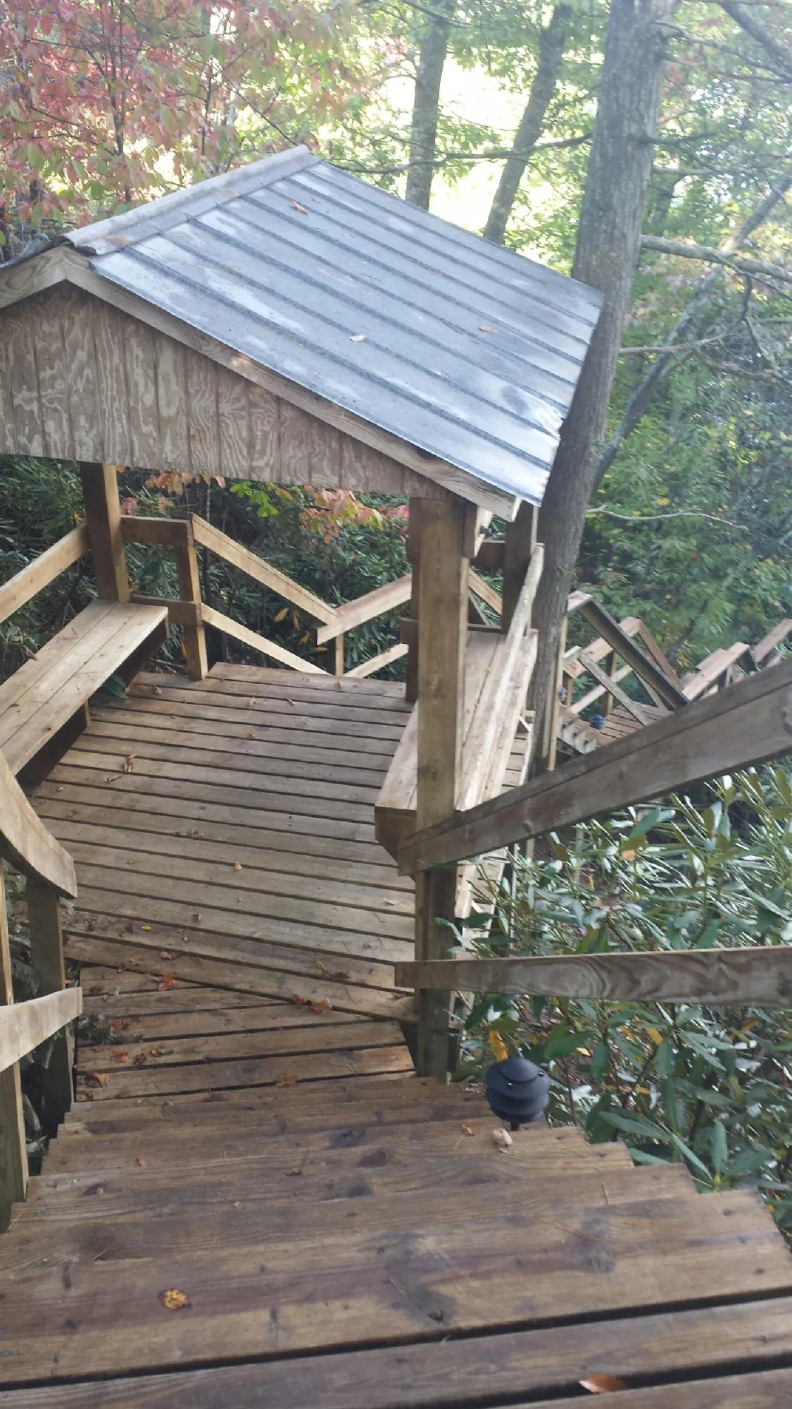 Metal roofed shelter over wooden steps on a wooded walkway — Skylight Repair & Installation work by our crew in Wilson