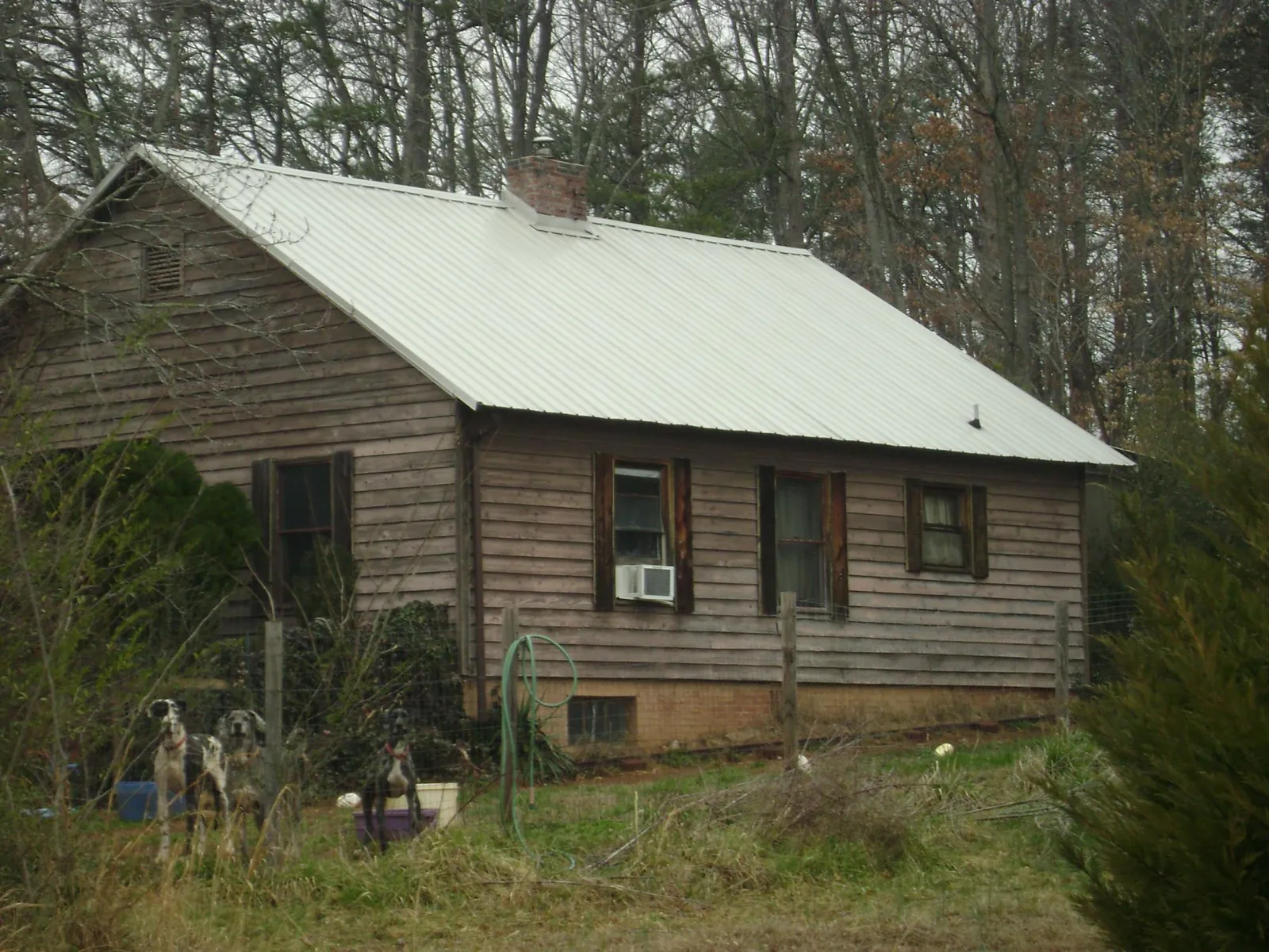 White metal roof on an old wood sided farmhouse, from a Asphalt Shingle Roof Repair job in Wilson